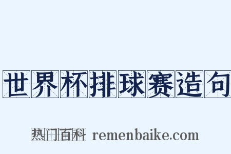 世界杯排球赛造句是什么意思的图片